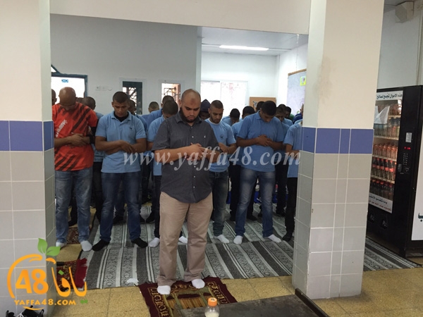 shamela salah dohr (1).jpg